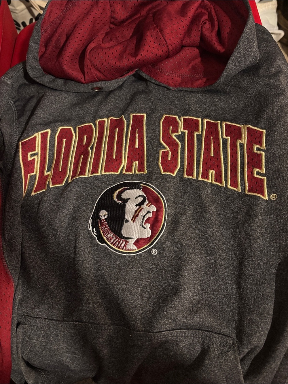 Colosseum Gray Hoodie with Garnet Lining